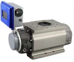 ZY-LLQ羅茨(cí)流量計(jì)