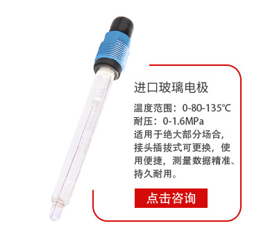 進口電(diàn)極 進口(kǒu)電極